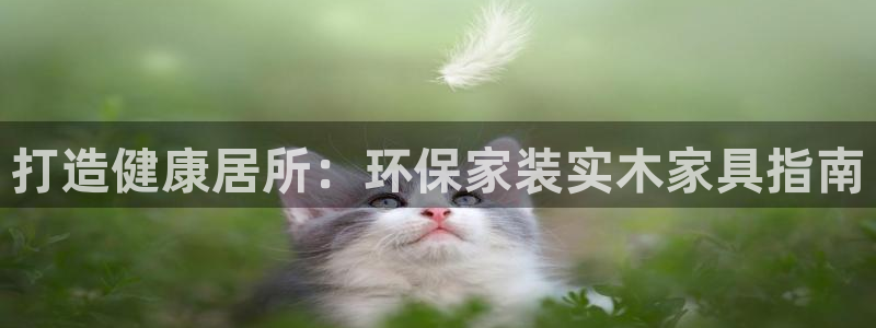 杏耀代理日工资多少