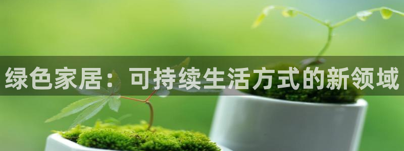 杏耀平台招商的流程