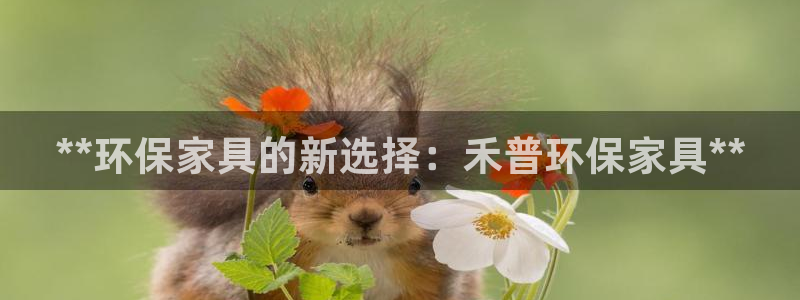 杏耀平台招商的流程：**环保家具的新选择：禾普环保家具**