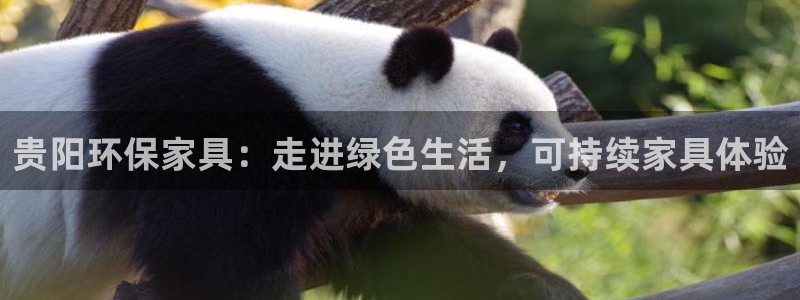 杏耀代理官网：贵阳环保家具：走进绿色生活，可持续家具体验