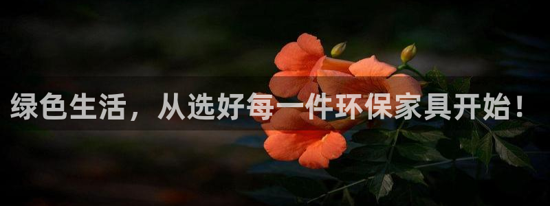 杏耀登陆网站：绿色生活，从选好每一件环保家具开始！