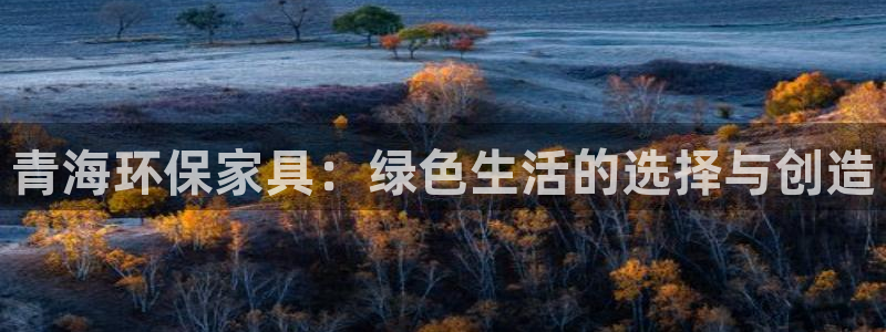 杏耀平台怎样：青海环保家具：绿色生活的选择与创造