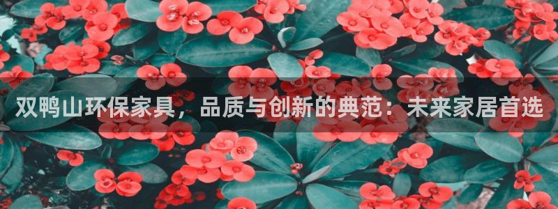杏耀平台注册流程：双鸭山环保家具，品质与创新的典范：未来家居