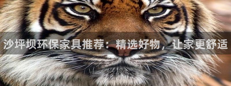 杏耀注册代理