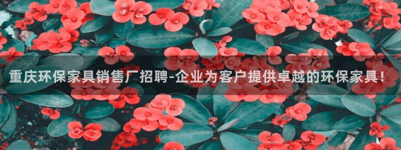 杏耀平台分红：重庆环保家具销售厂招聘-企业为客户提供卓越的环