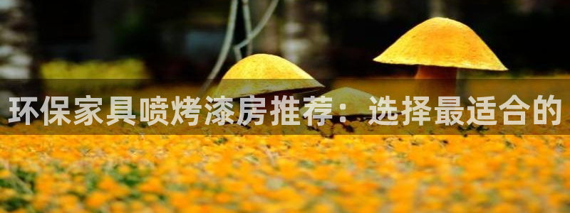 杏耀平台没有了：环保家具喷烤漆房推荐：选择最适合的