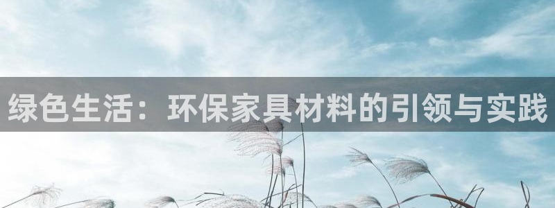杏耀平台代理怎么赚钱的：绿色生活：环保家具材料的引领与实践